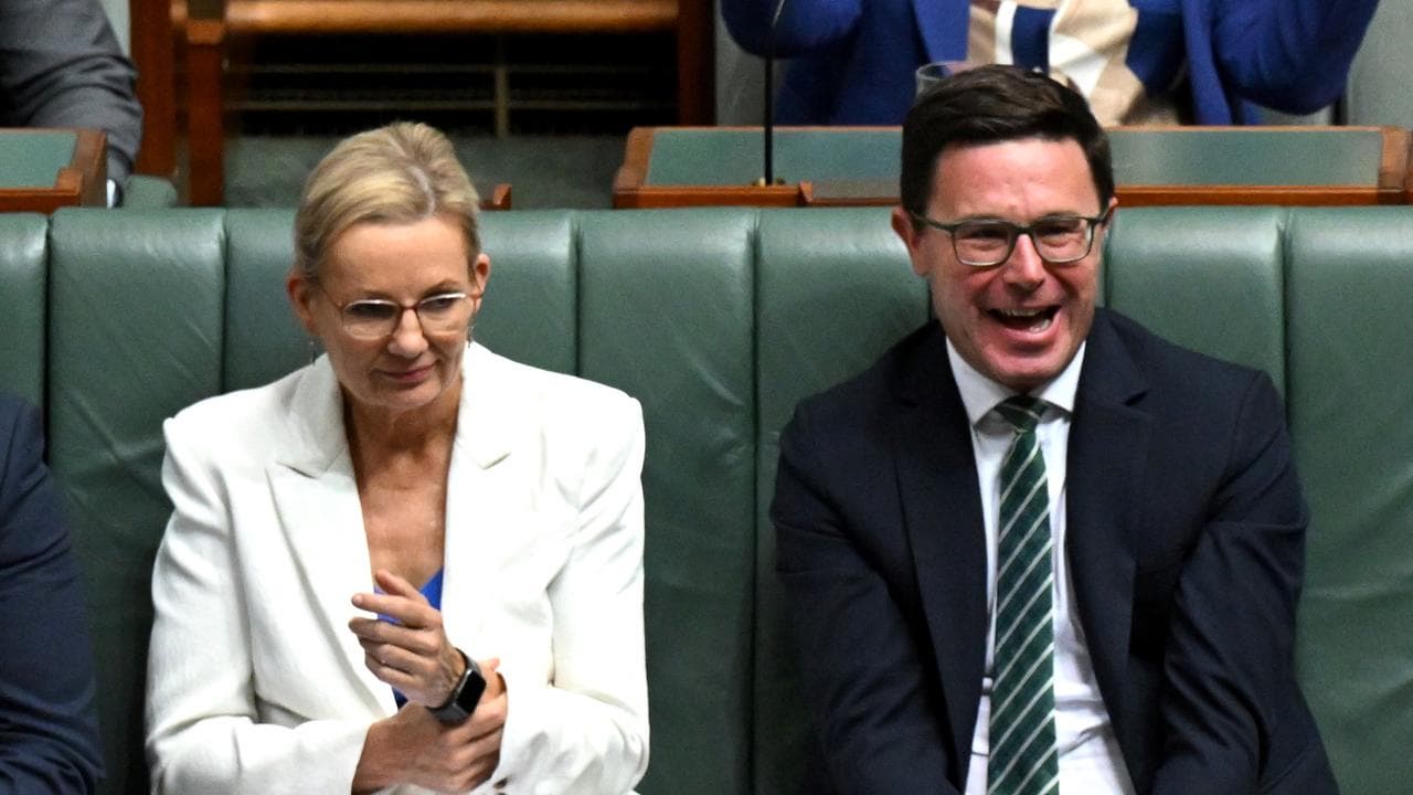 Sussan Ley and David Littleproud during question time in parliament