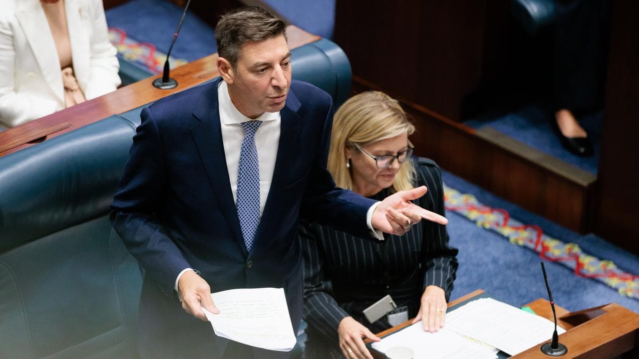 WA Opposition Leader Basil Zempilas (file image)