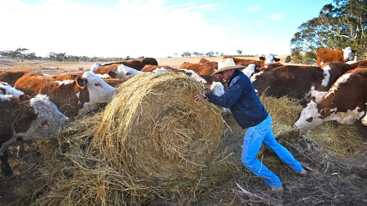 Paul Manwaring on his farm near Cootamundra, NSW