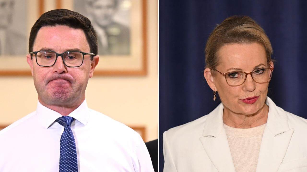 David Littleproud and Sussan Ley (file images)