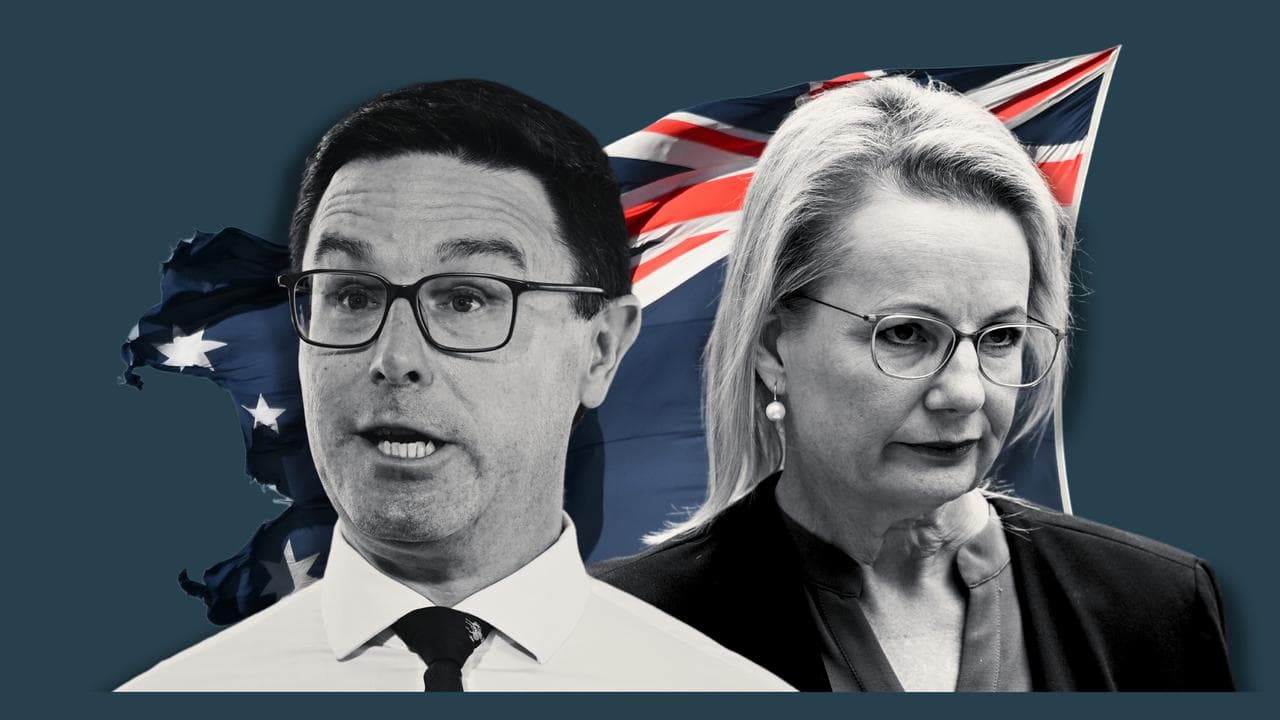 David Littleproud and Sussan Ley (file image)