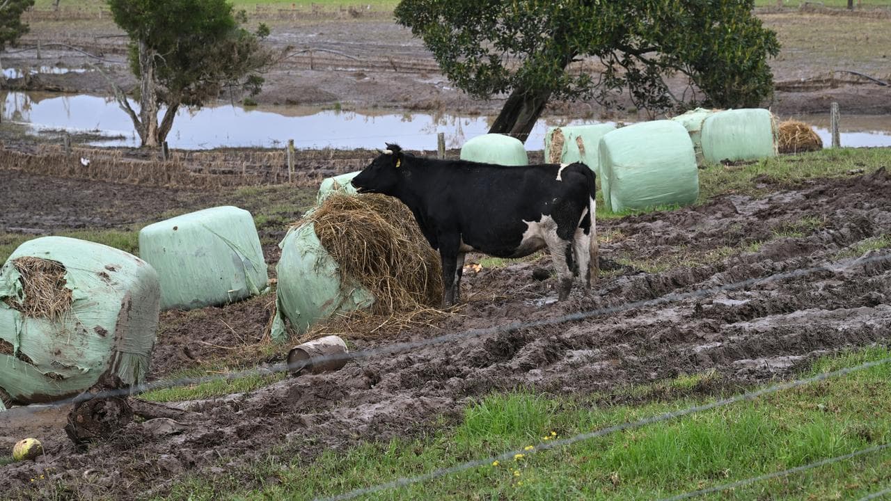 Flood-affected property 
