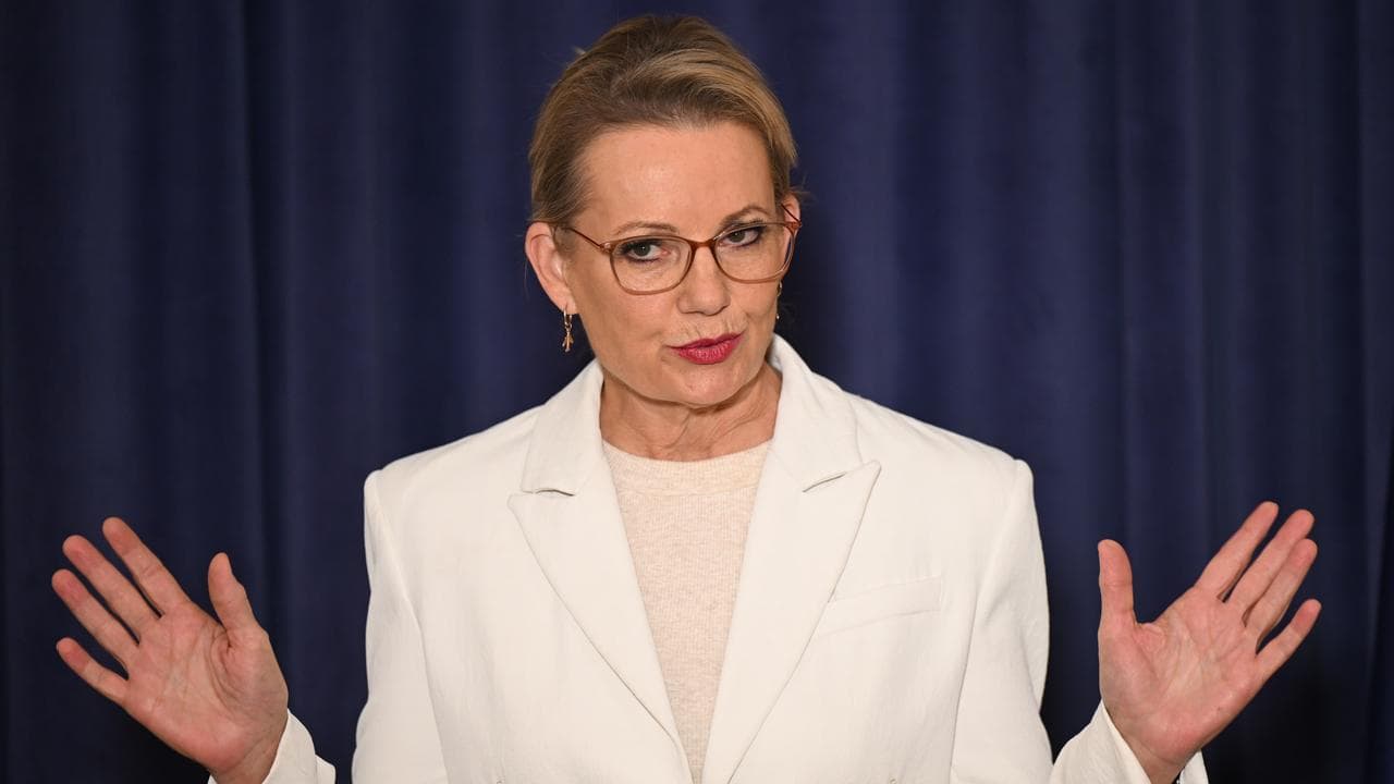 Opposition Leader Sussan Ley (file image)