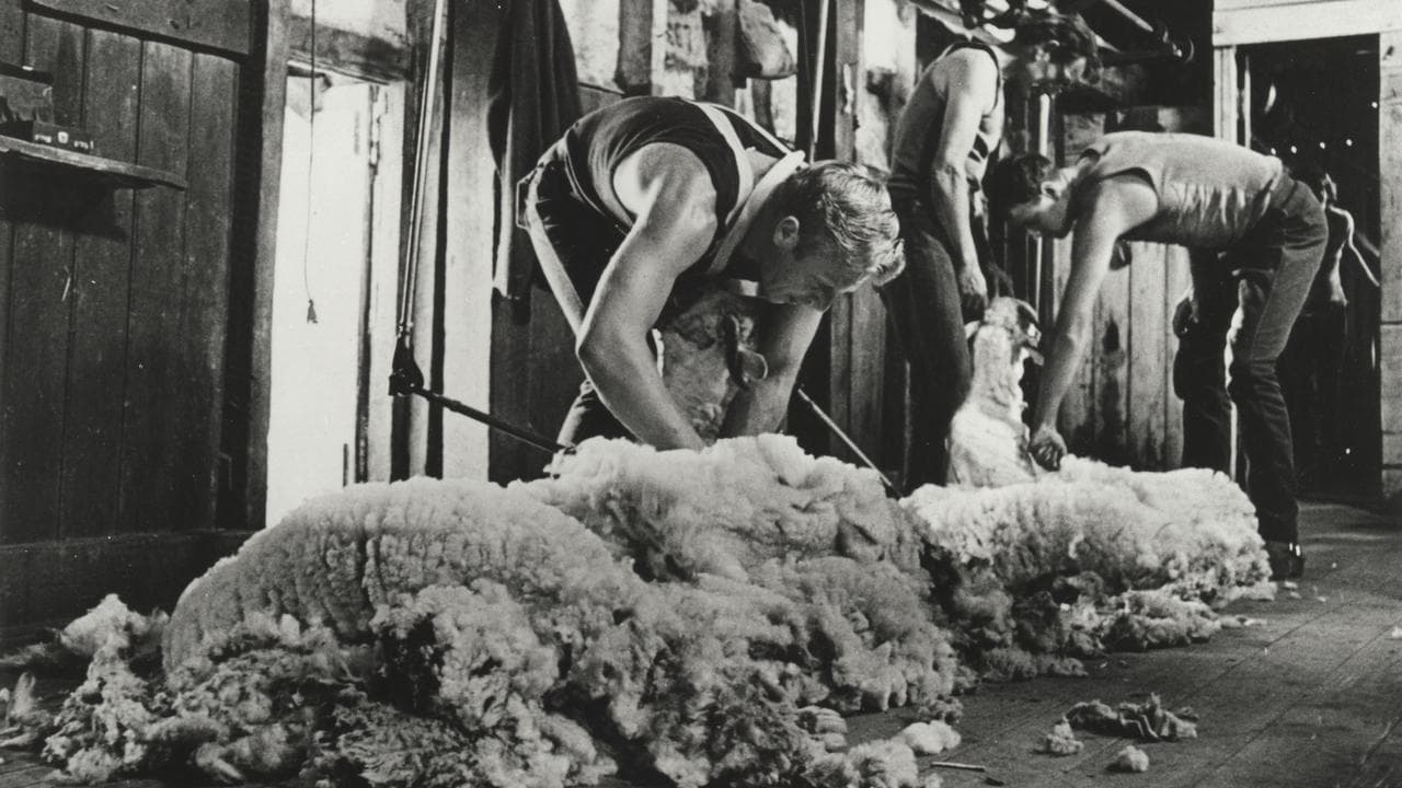 Jack Thompson and the cast of Sunday Too Far Away