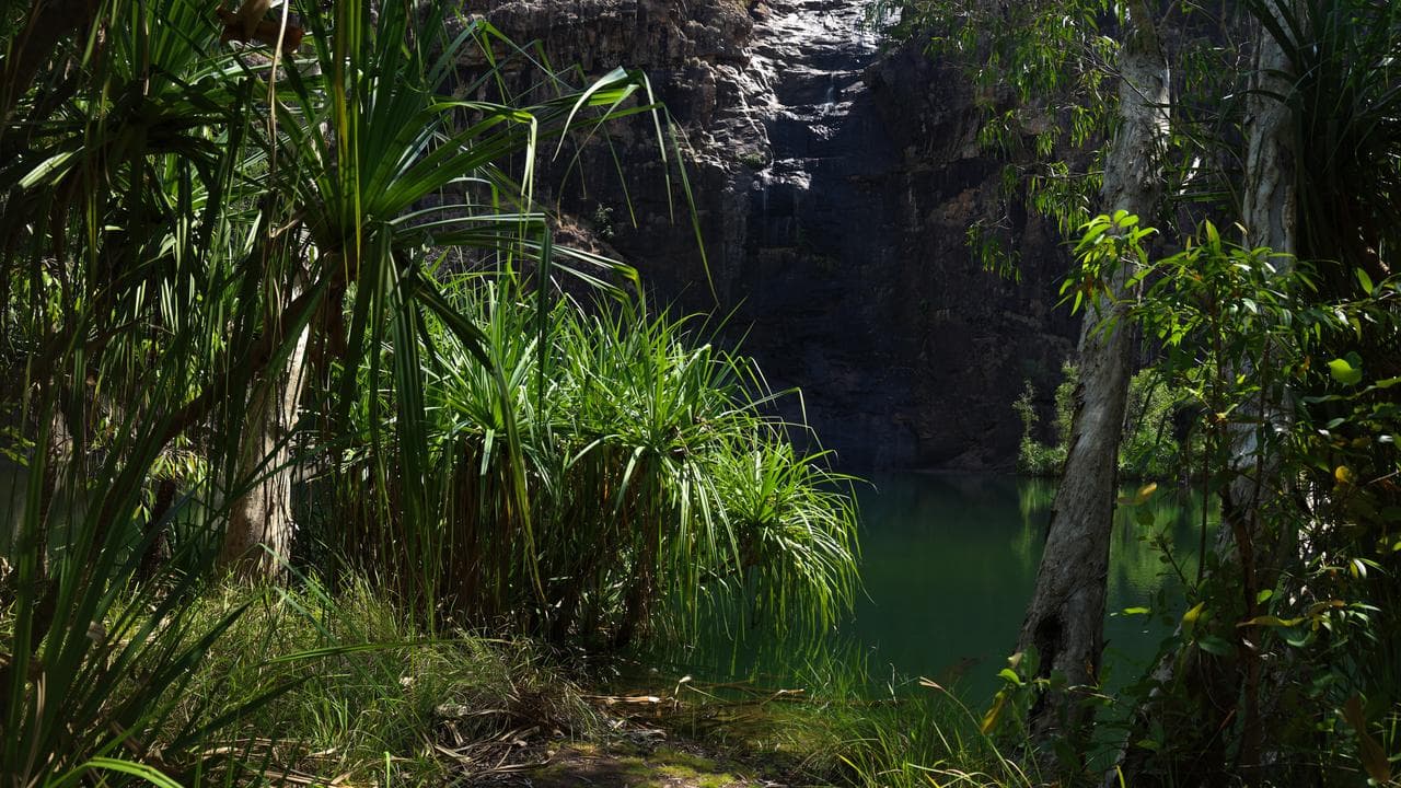 A file photo of national parkland