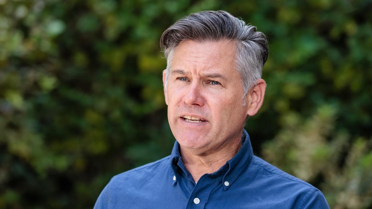 WA Greens leader Brad Pettitt