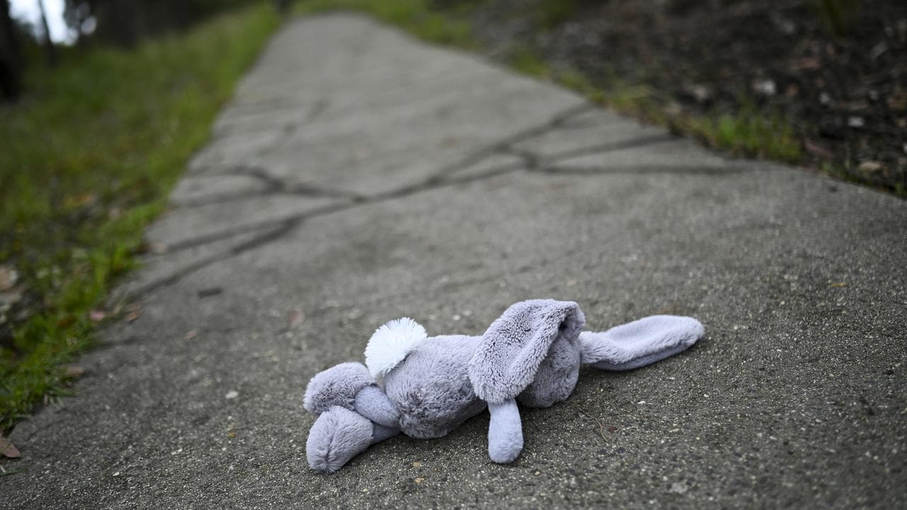 An abandoned children’s toy (file image)