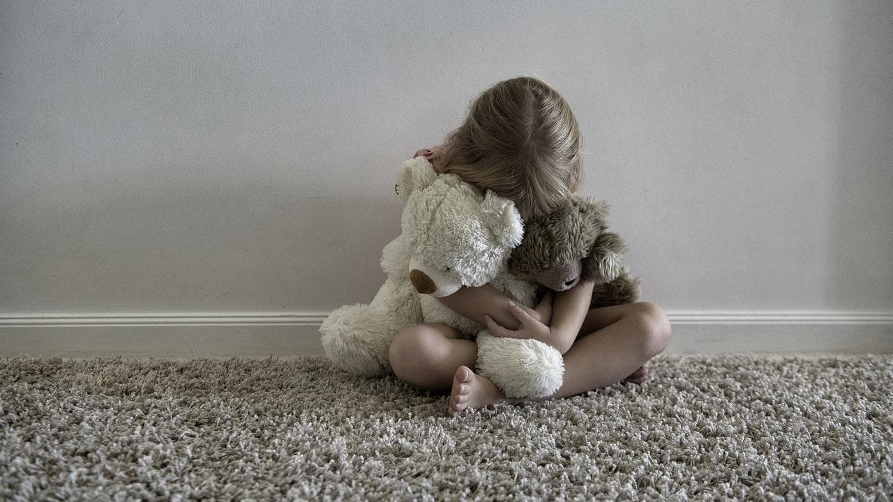 A little girl hugging stuffed toys (file image)