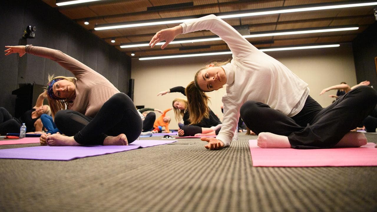 Yoga and meditation event (file)