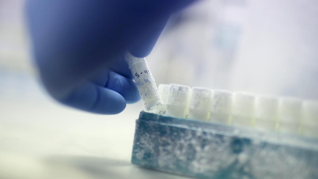 A vial of frozen sperm