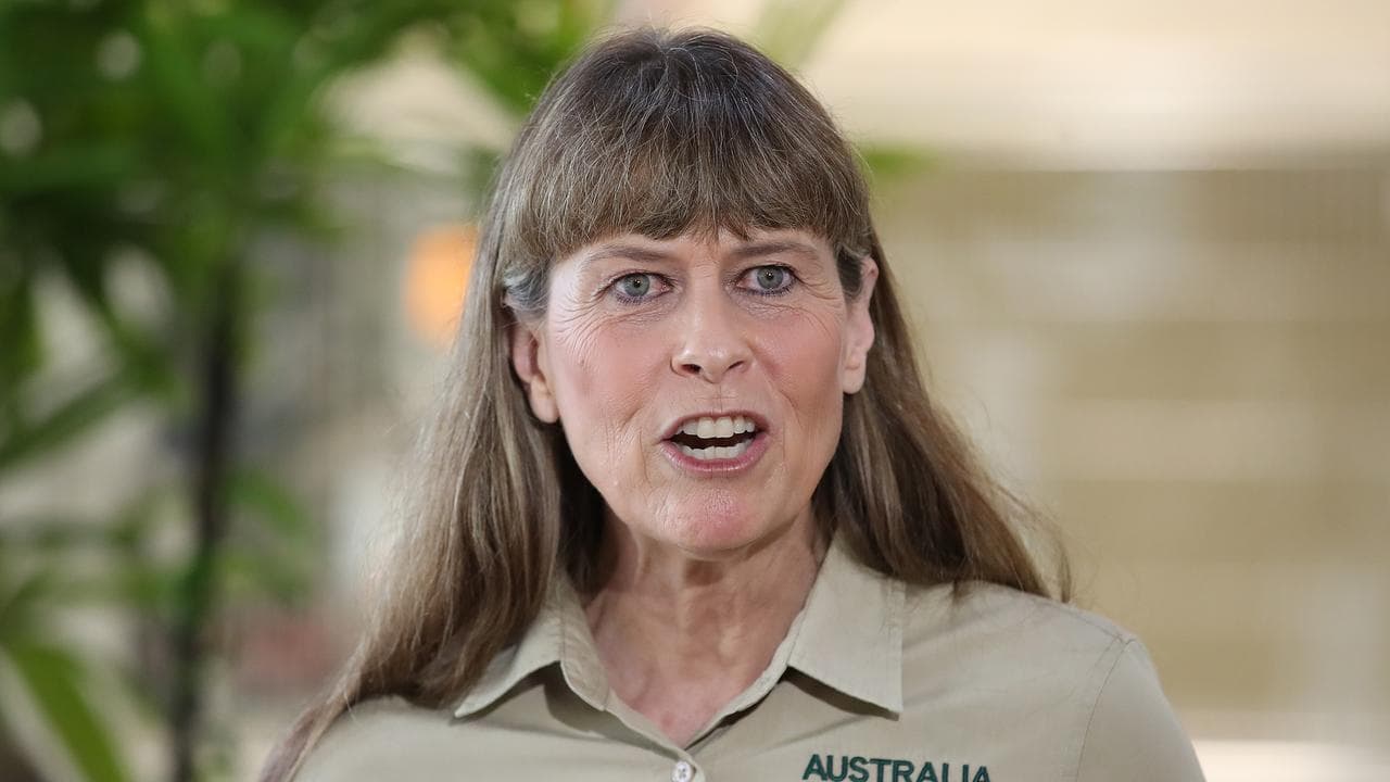 Terri Irwin (file image)