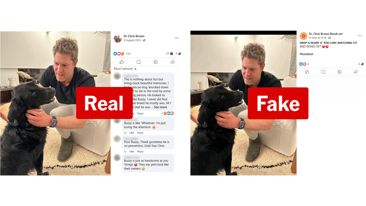 Fake and real Facebook post about Dr Chris Brown and ticks