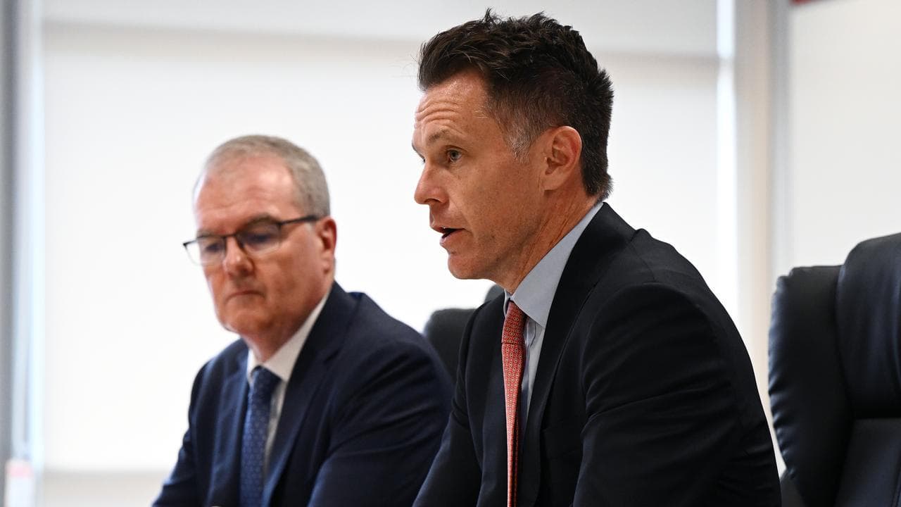 Michael Daley and Chris Minns (file image)