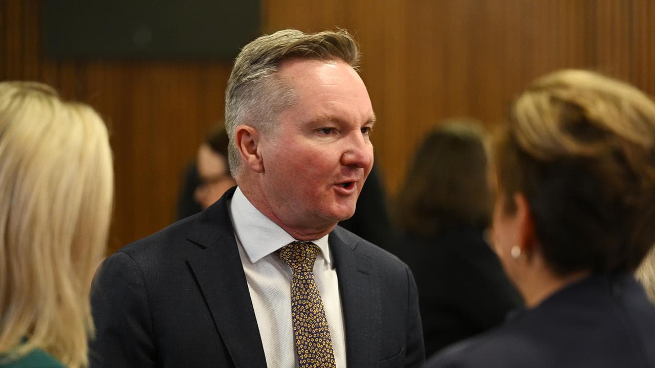 Energy Minister Chris Bowen (file image)