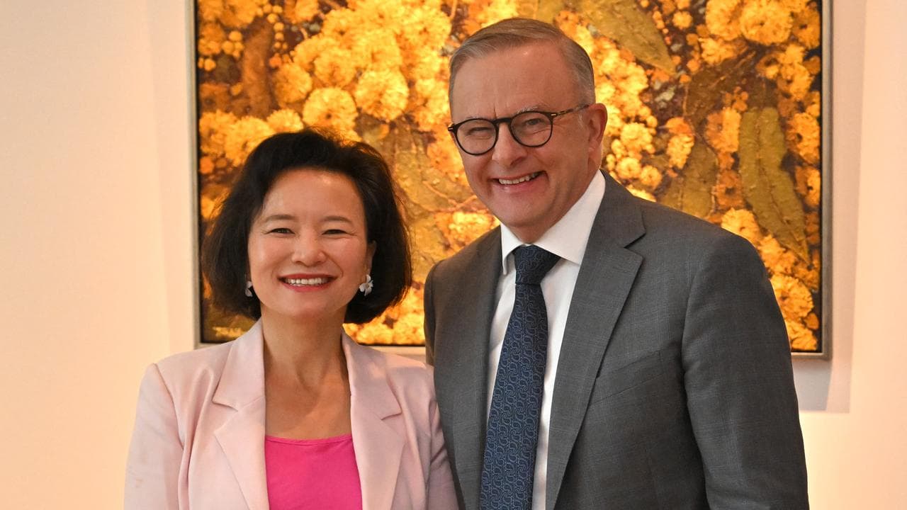 Cheng Lei and Anthony Albanese