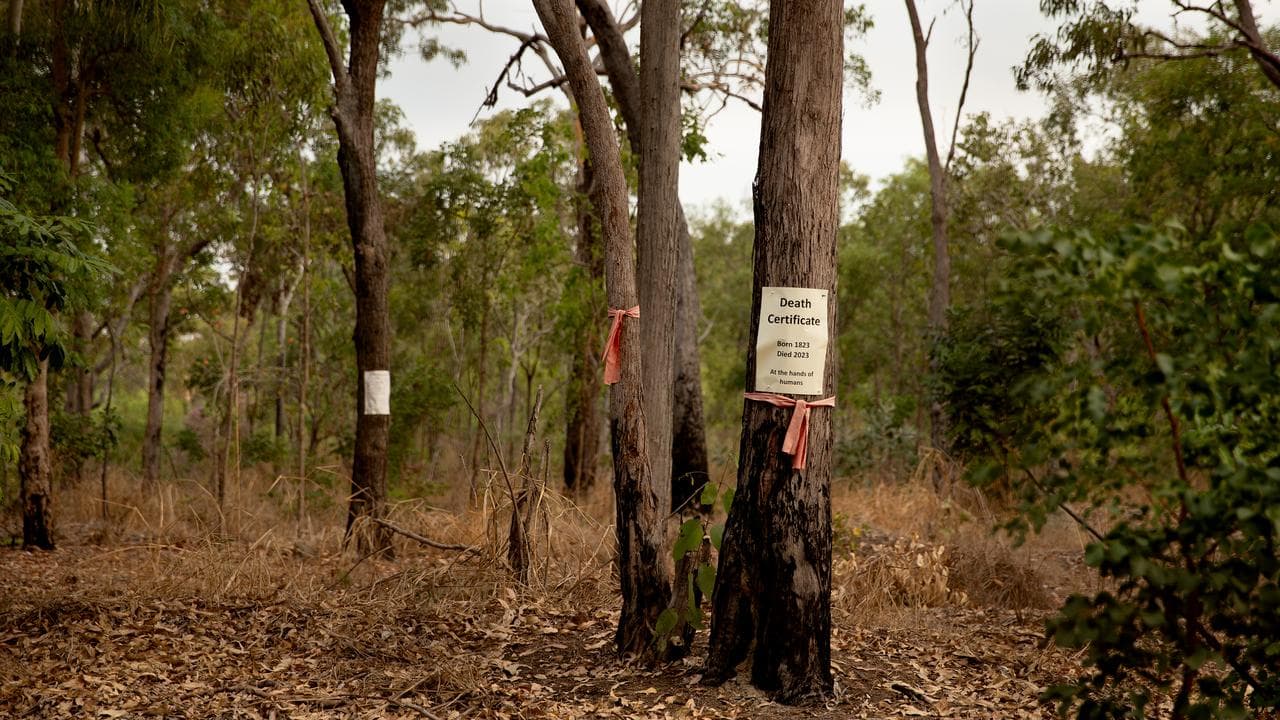 Signs at Lee Point (file image)