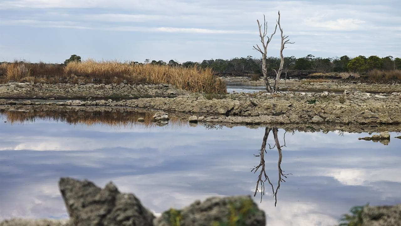 the landscape in Budj Bim, Victoria.