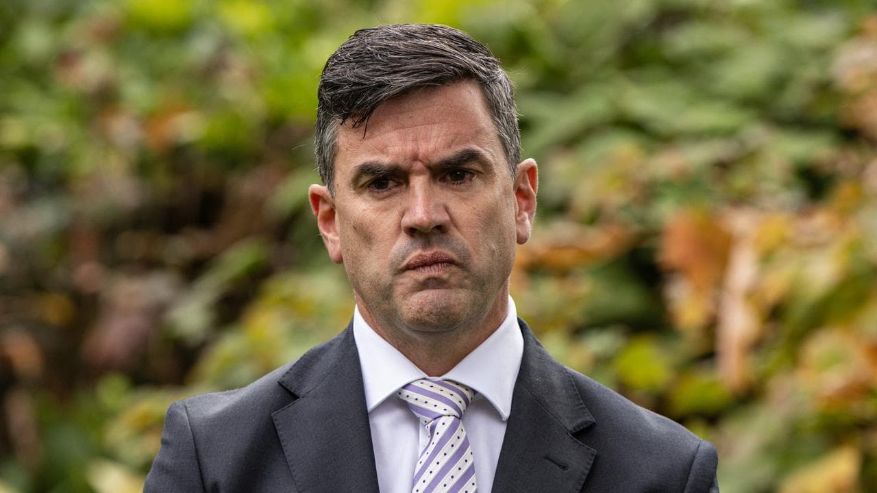 Victorian Opposition Leader Brad Battin (file image)