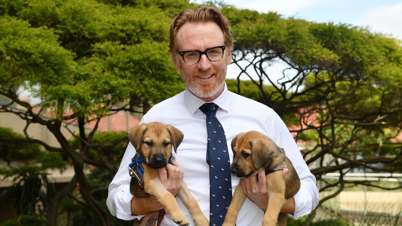 NSW RSPCA CEO Steve Coleman (file image)