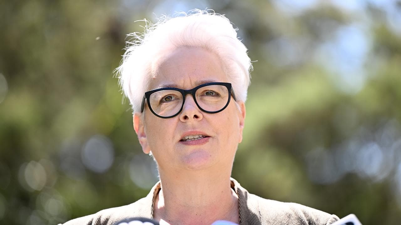 Environment Minister Penny Sharpe (file image)