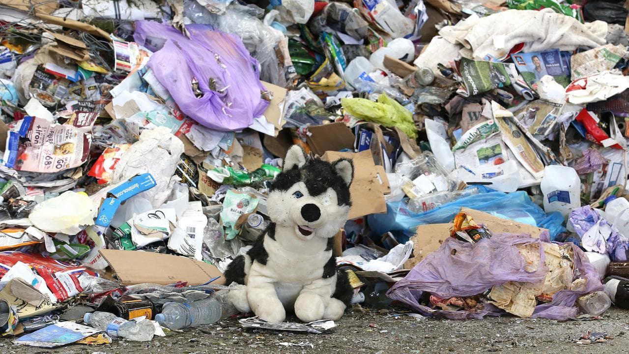Waste in a pile (file image)