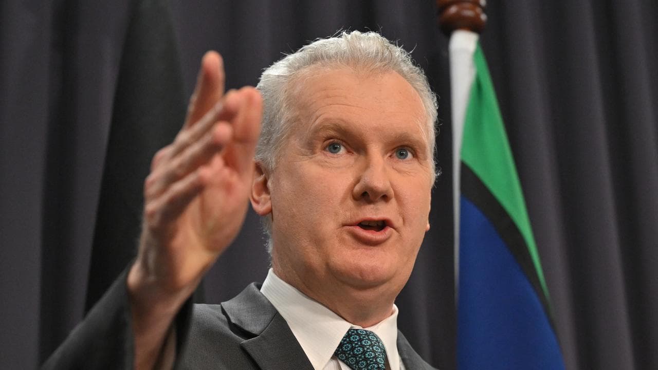 Tony Burke (file image)