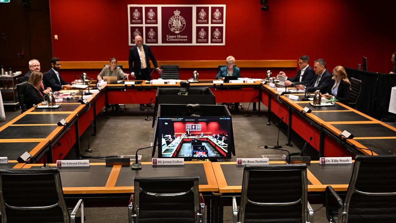 NSW Parliamentary Inquiry chair and committee members