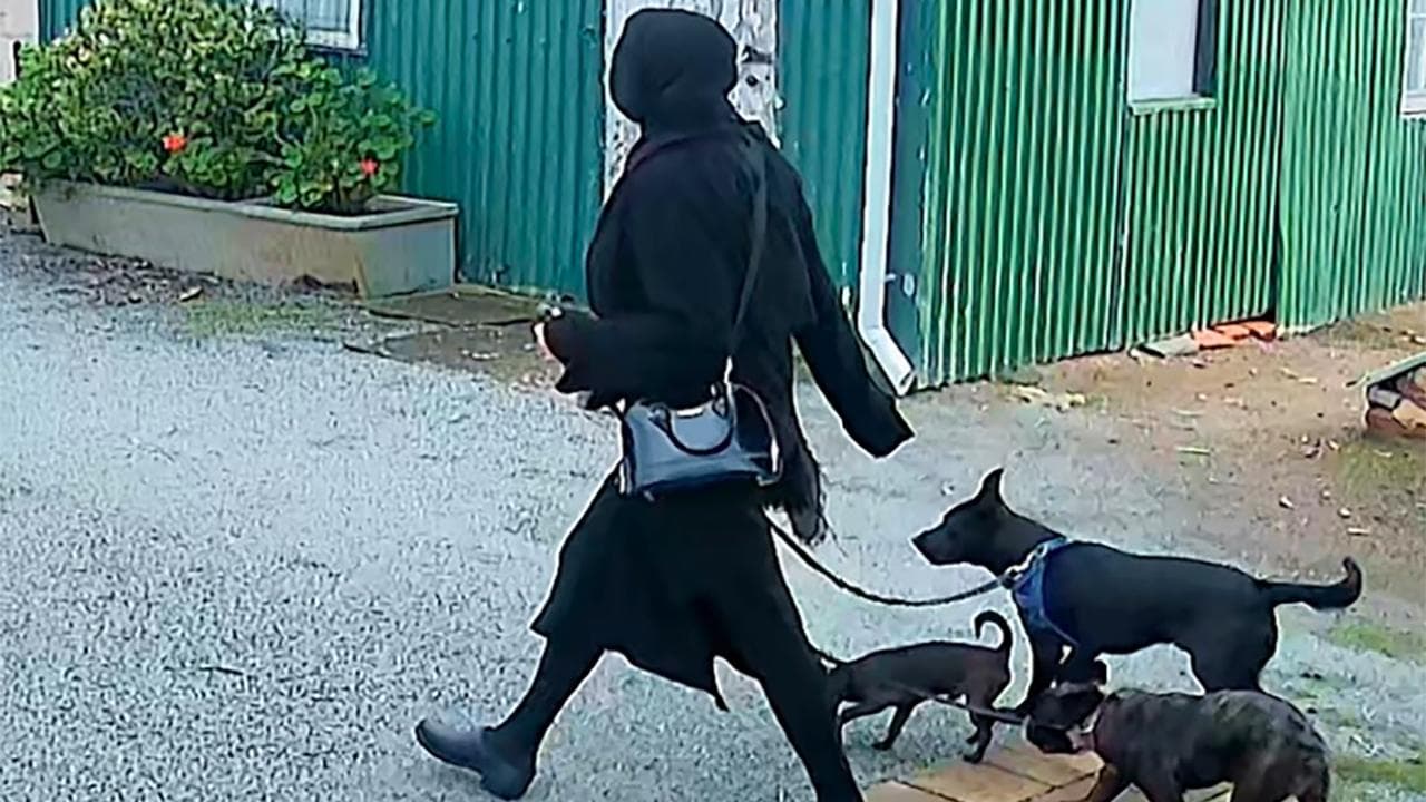 Image of woman released by police 