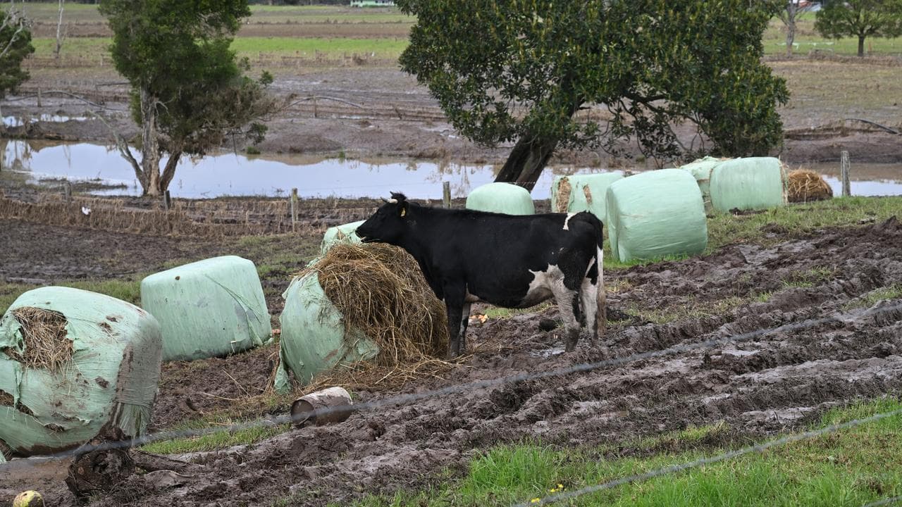 A farm in Taree after May's floods (file image)