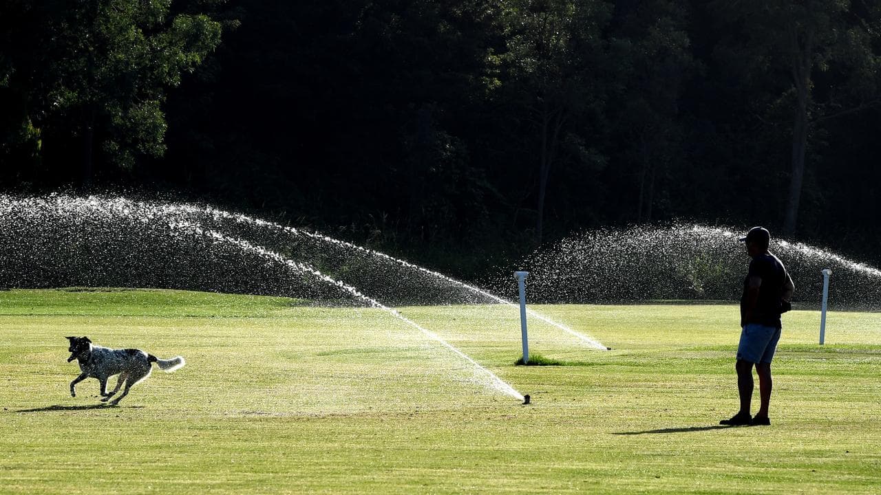 A man watches his dog play in a sprinkler