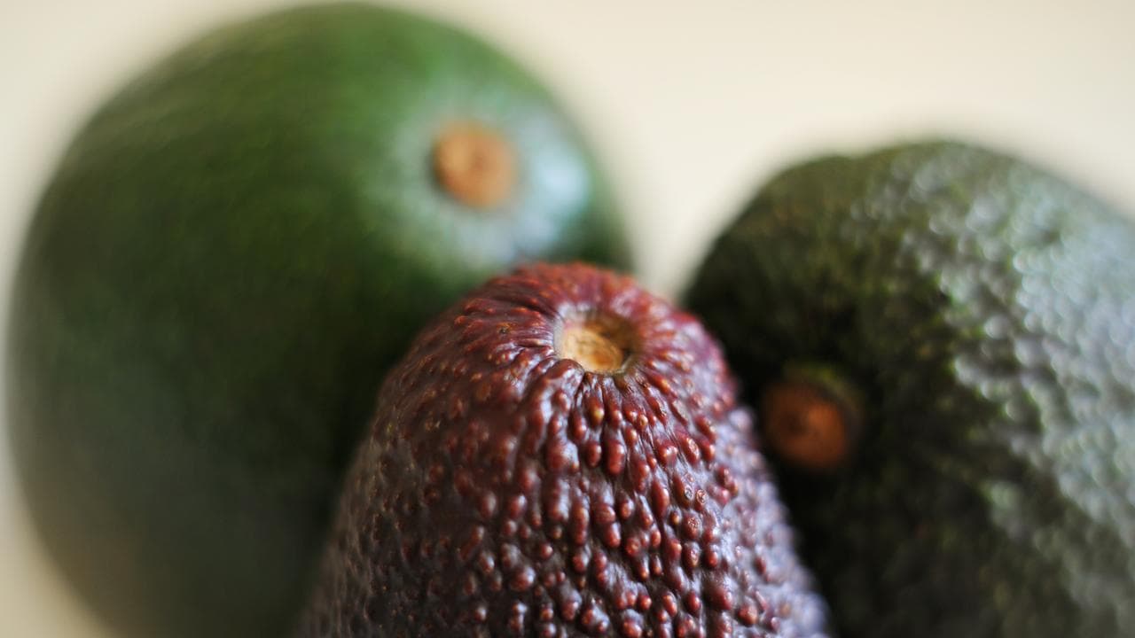 Stock image of avocados