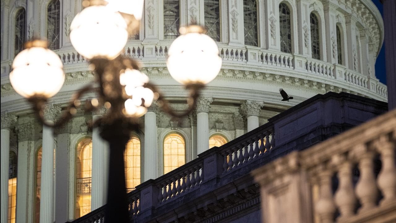 A bird flies near US Capitol dome before dawn, in Washington