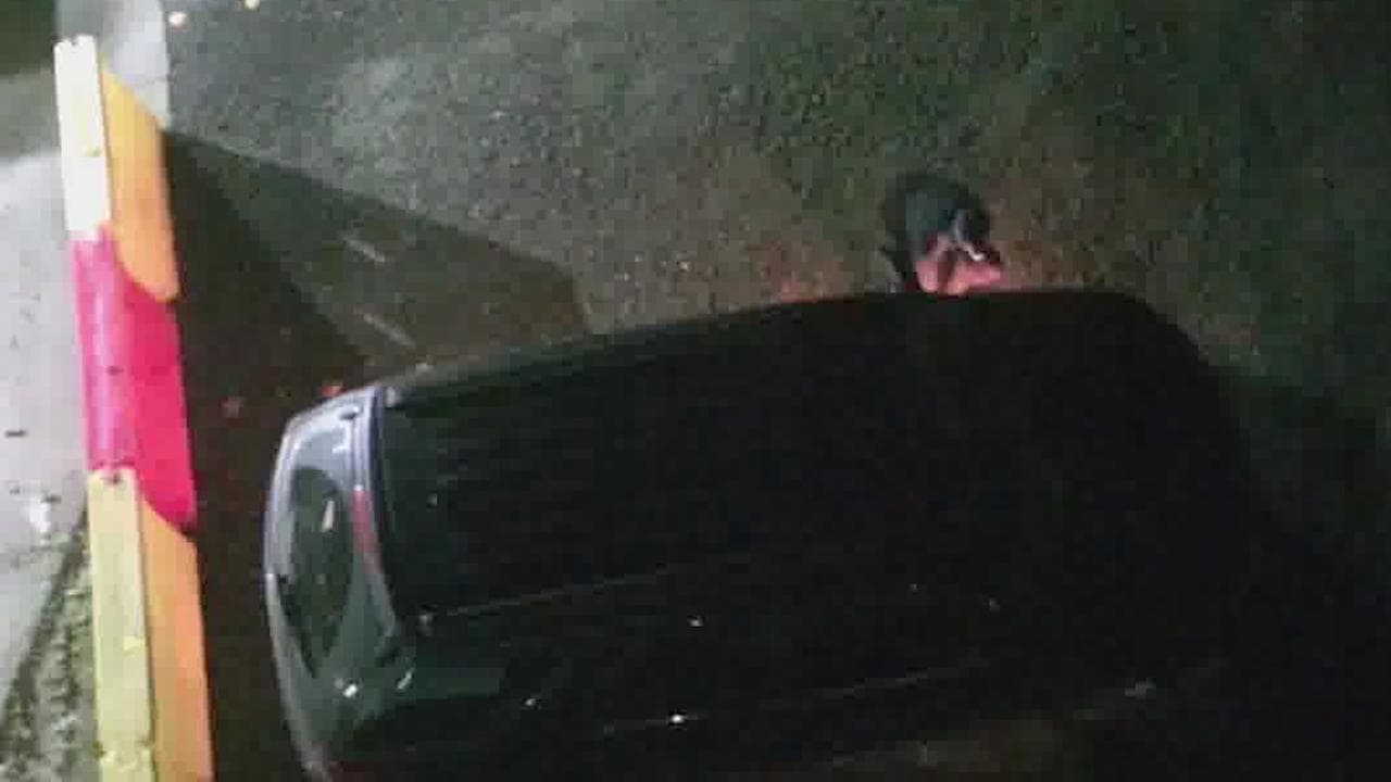 offenders set fire to cars