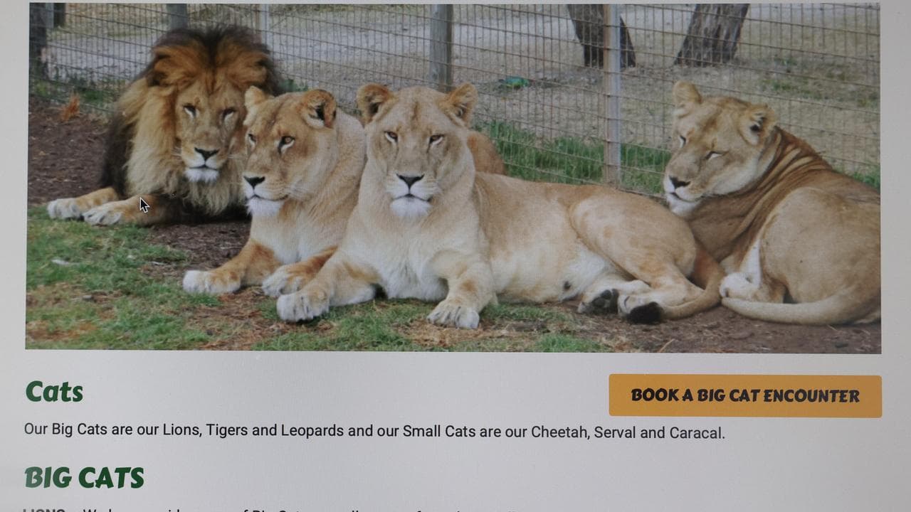 A photo showing Darling Downs Zoo's website homepage