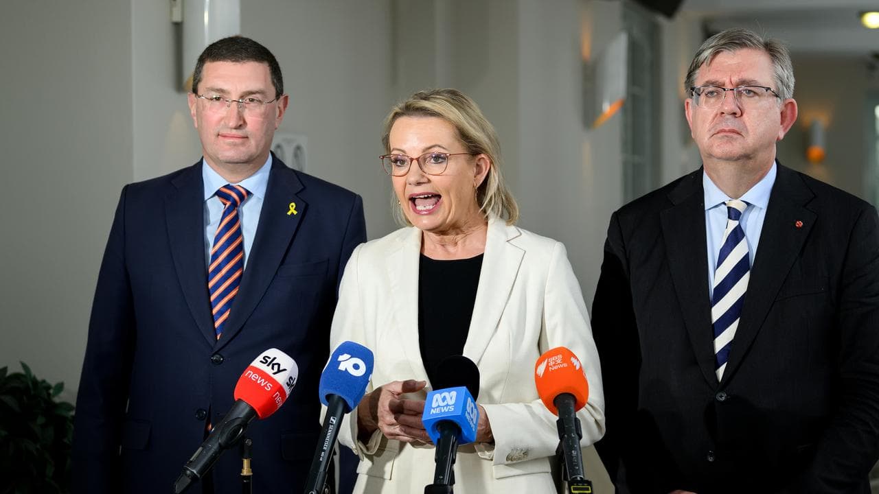 Julian Leeser, Sussan Ley and Paul Scarr