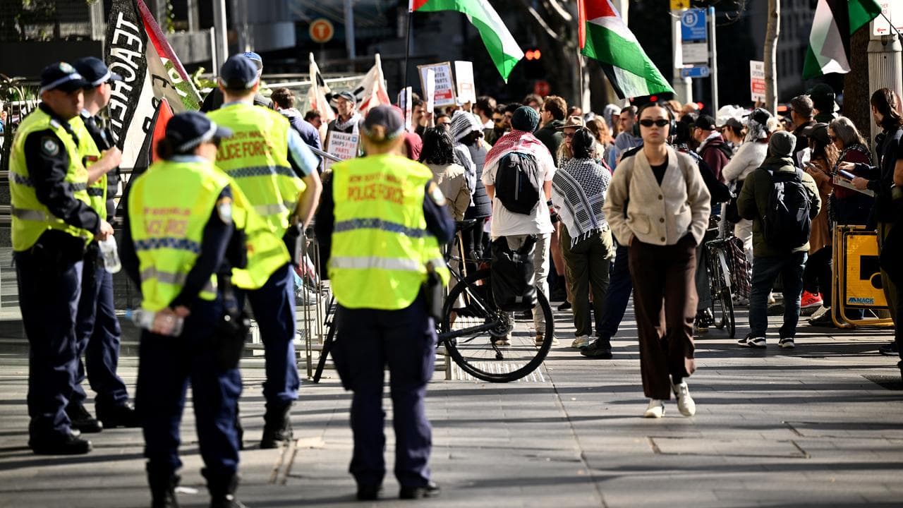Protesters rally in Sydney