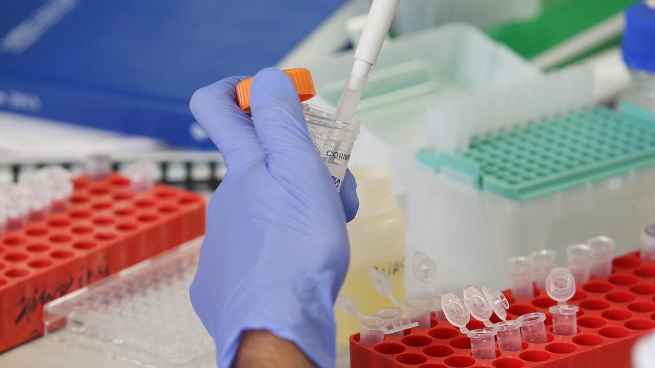 A scientist works in a medical lab at St Vincent's Institute 2013