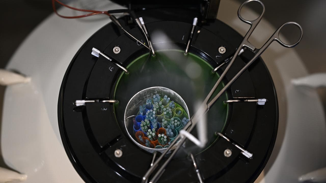 laboratory technicians at work at the Connect IVF Lab in Sydney