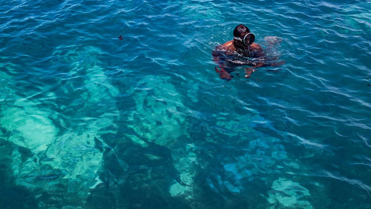 Examining reef damage (file)