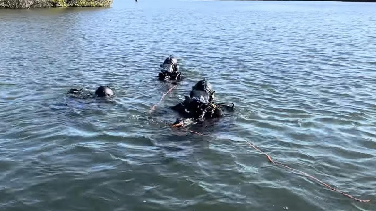 Divers searching the Port River estuary.