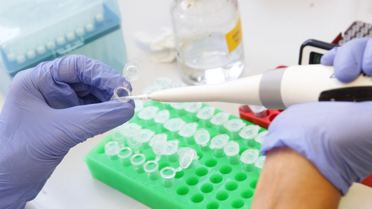 A medical lab at St Vincent's Institute in Melbourne
