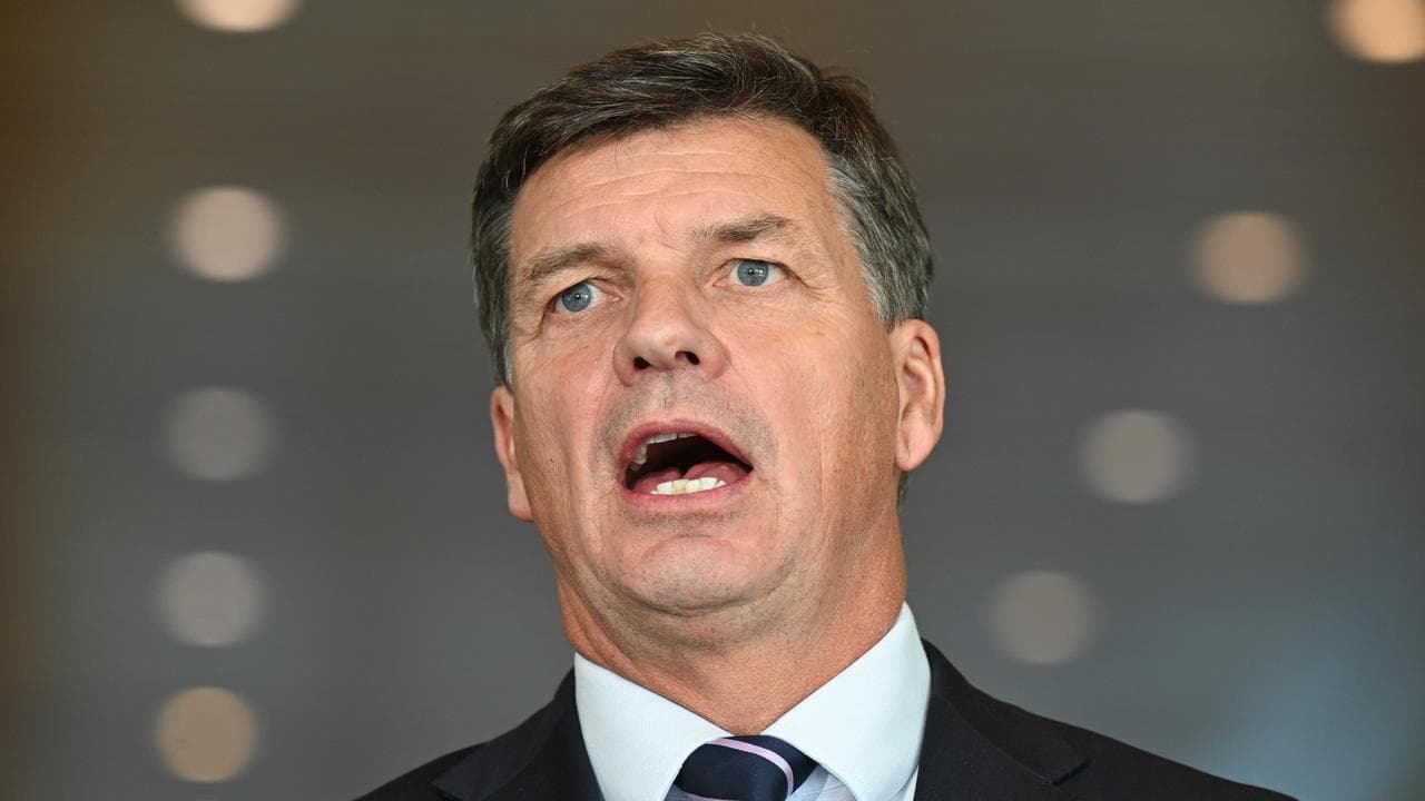 Opposition defence spokesman Angus Taylor