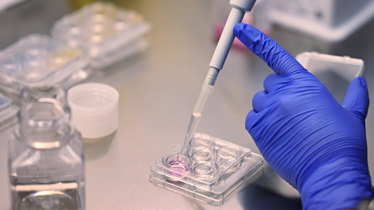 General images of laboratory technicians at work