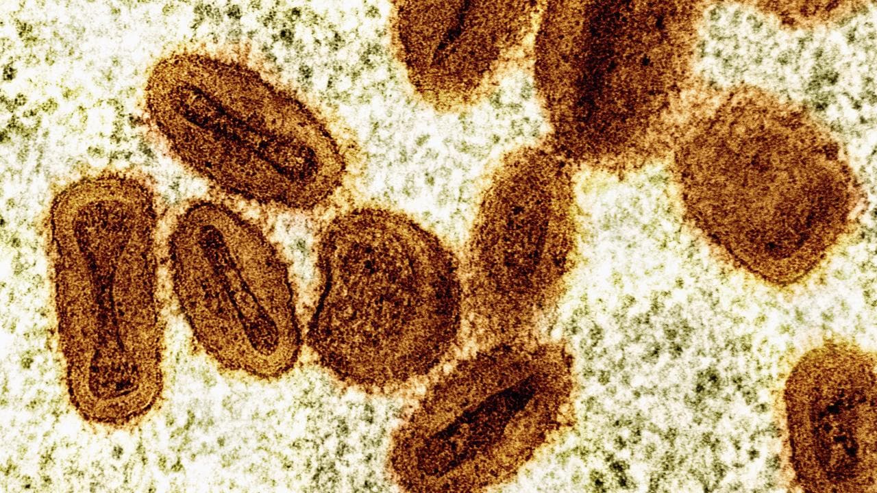 mpox virus particles