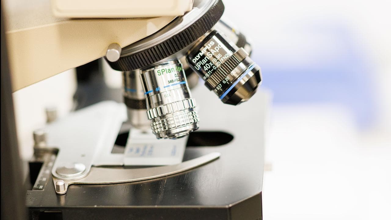 Microscope at the University of SA, Adelaide, Friday, June 20, 2025.