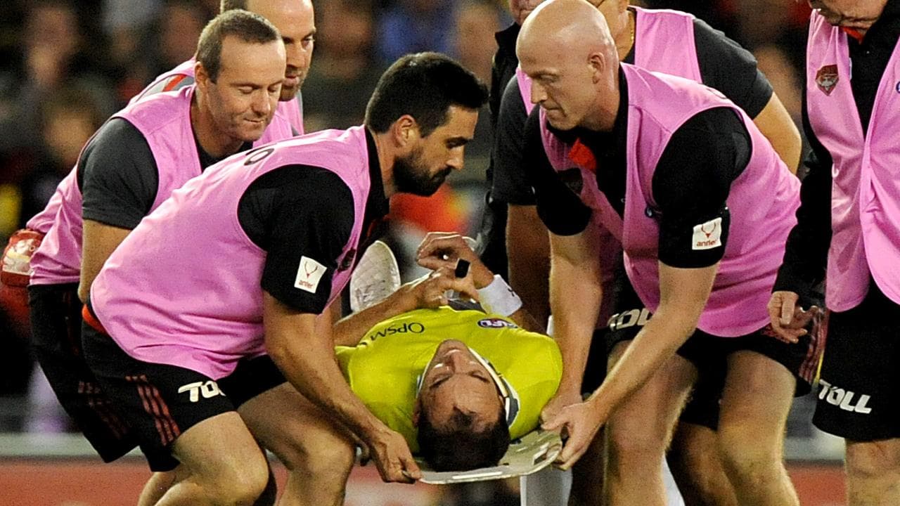 Troy Pannell concussed in an AFL match (file)