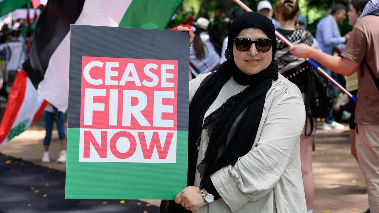 Woman holds pro-Palestinian placard