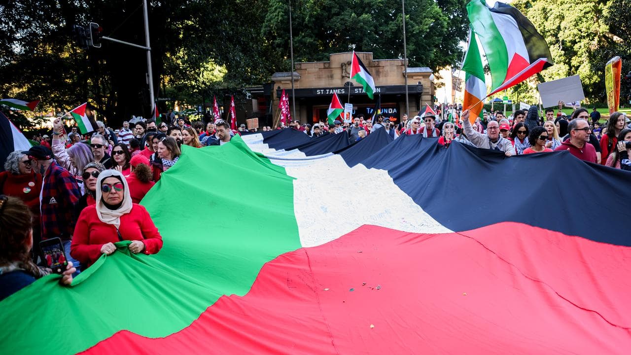 Pro-Palestinian protest
