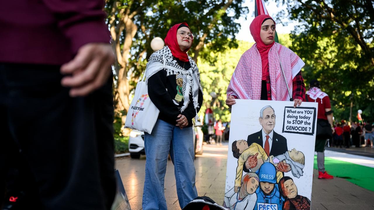 Pro-Palestinian protesters