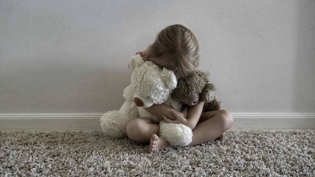 Child hugs teddies.